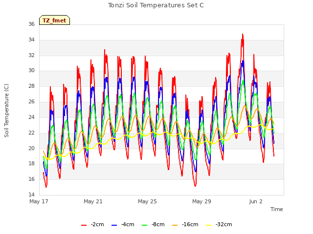 Explore the graph:Tonzi Soil Temperatures Set C in a new window