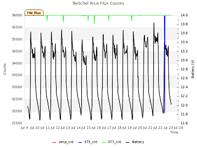 plot of Twitchel Rice Flux Counts