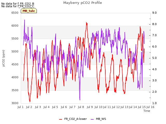 plot of Mayberry pCO2 Profile