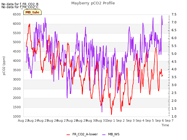 plot of Mayberry pCO2 Profile