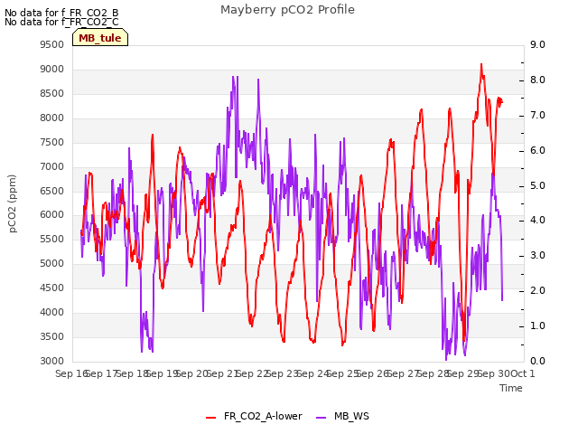 plot of Mayberry pCO2 Profile