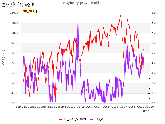 plot of Mayberry pCO2 Profile