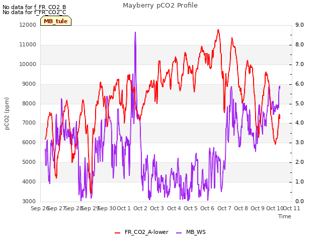 plot of Mayberry pCO2 Profile