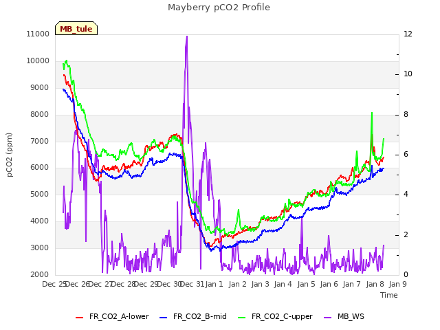 plot of Mayberry pCO2 Profile