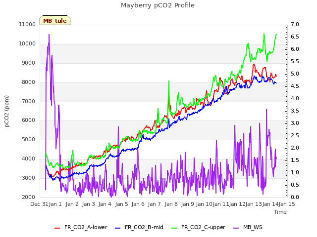 plot of Mayberry pCO2 Profile