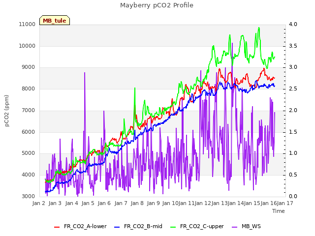 plot of Mayberry pCO2 Profile