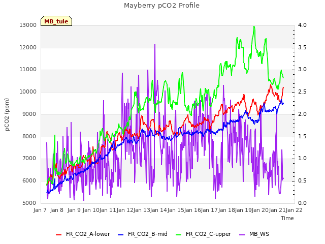 plot of Mayberry pCO2 Profile