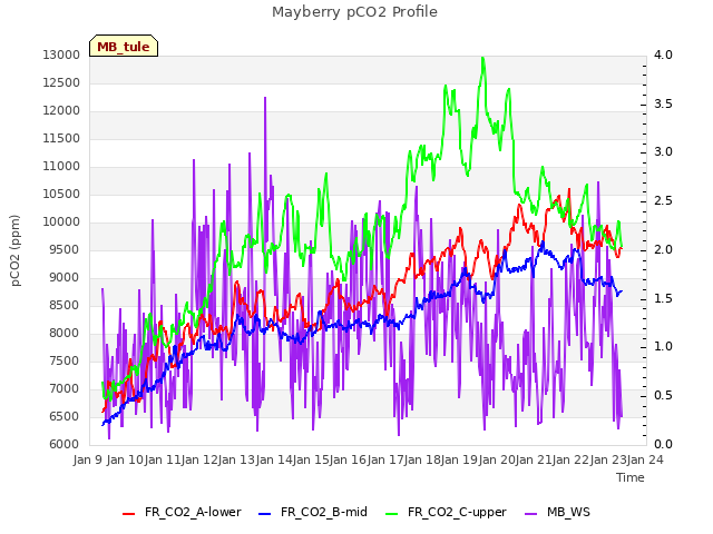 plot of Mayberry pCO2 Profile