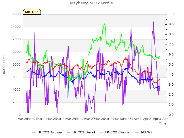 plot of Mayberry pCO2 Profile