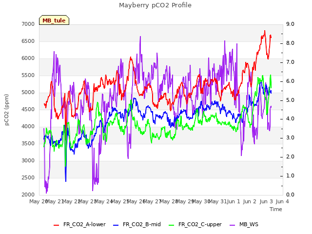 plot of Mayberry pCO2 Profile