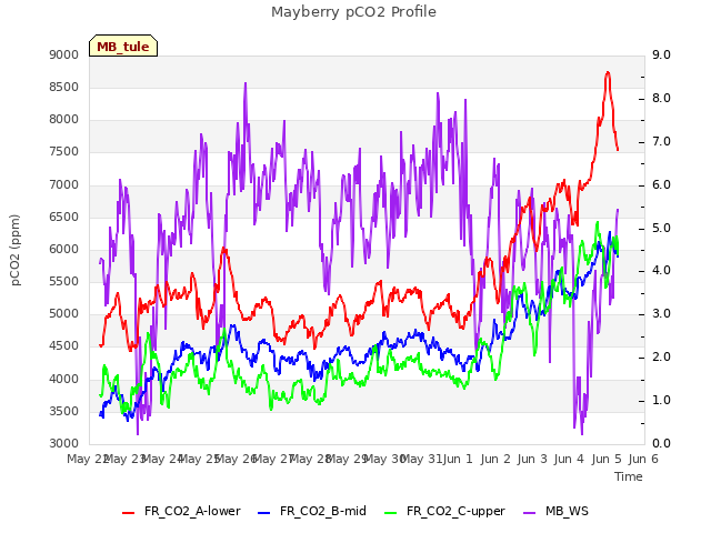 plot of Mayberry pCO2 Profile