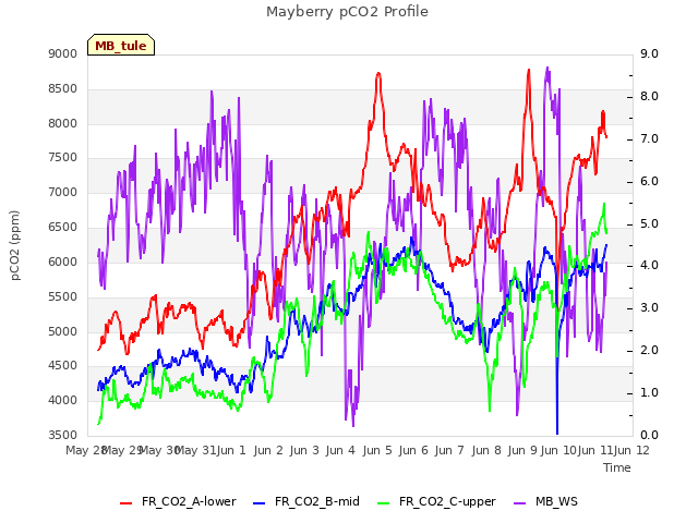 plot of Mayberry pCO2 Profile