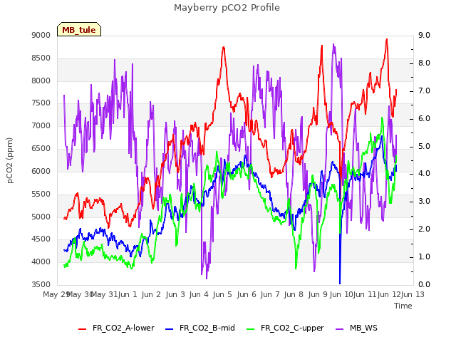 plot of Mayberry pCO2 Profile