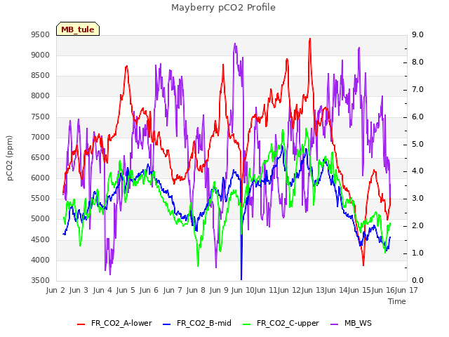 plot of Mayberry pCO2 Profile