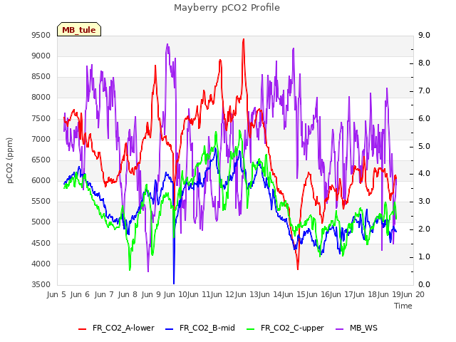 plot of Mayberry pCO2 Profile