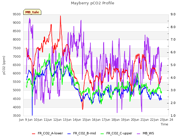 plot of Mayberry pCO2 Profile