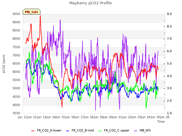 plot of Mayberry pCO2 Profile