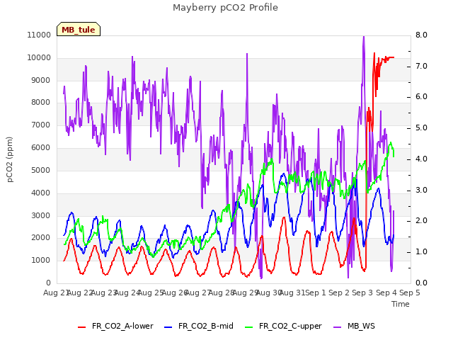 plot of Mayberry pCO2 Profile