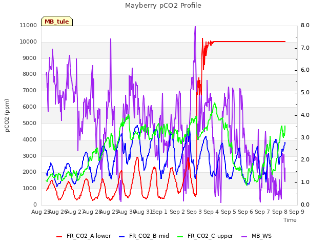 plot of Mayberry pCO2 Profile