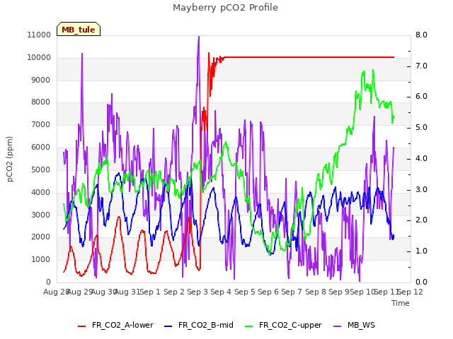 plot of Mayberry pCO2 Profile