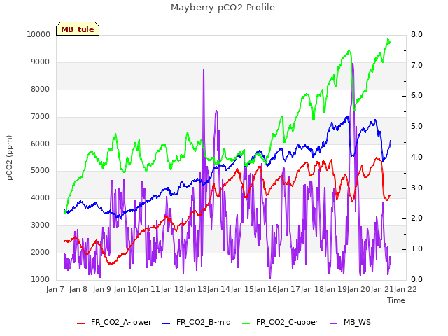 plot of Mayberry pCO2 Profile