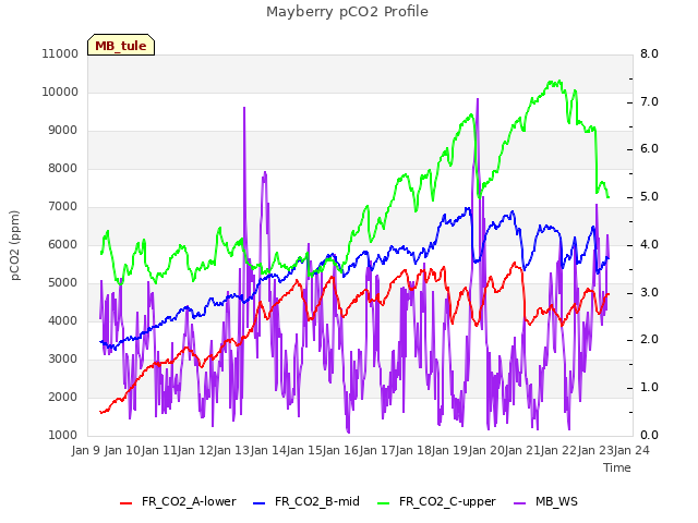 plot of Mayberry pCO2 Profile