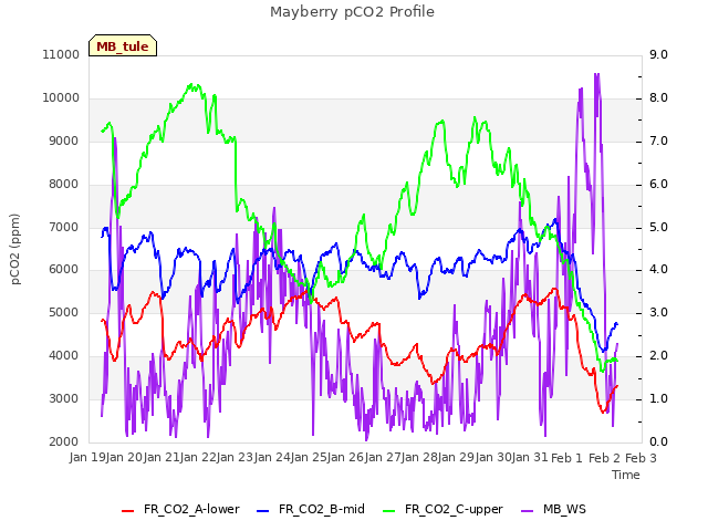 plot of Mayberry pCO2 Profile