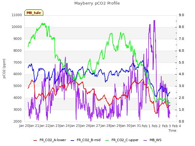 plot of Mayberry pCO2 Profile