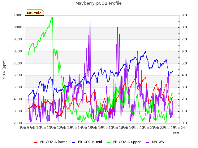 plot of Mayberry pCO2 Profile