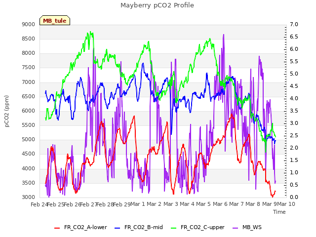 plot of Mayberry pCO2 Profile