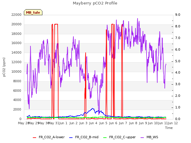 plot of Mayberry pCO2 Profile