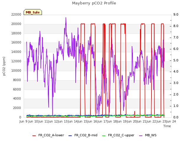 plot of Mayberry pCO2 Profile