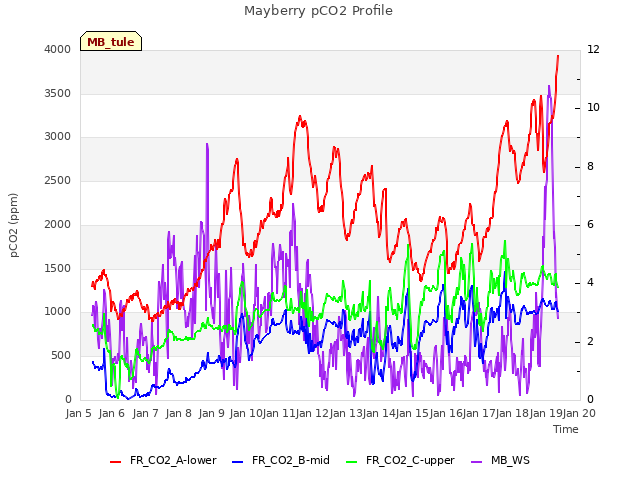 plot of Mayberry pCO2 Profile