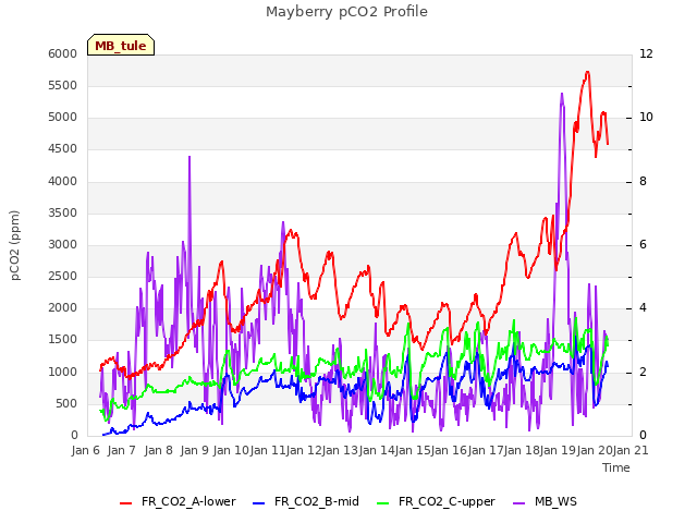 plot of Mayberry pCO2 Profile