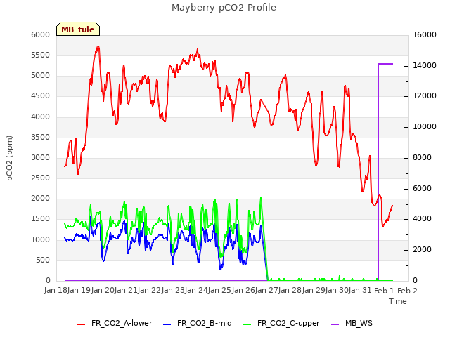 plot of Mayberry pCO2 Profile