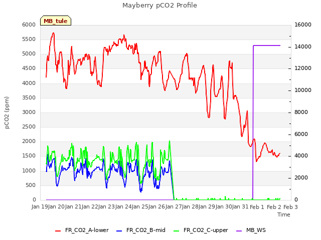 plot of Mayberry pCO2 Profile