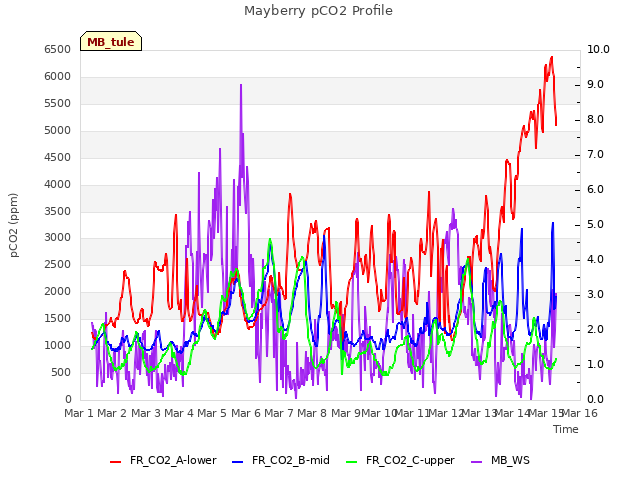 plot of Mayberry pCO2 Profile