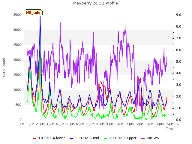 plot of Mayberry pCO2 Profile