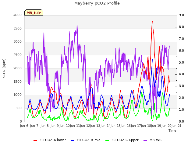 plot of Mayberry pCO2 Profile