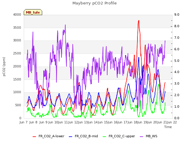 plot of Mayberry pCO2 Profile