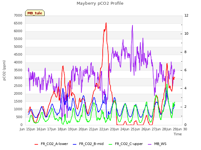 plot of Mayberry pCO2 Profile