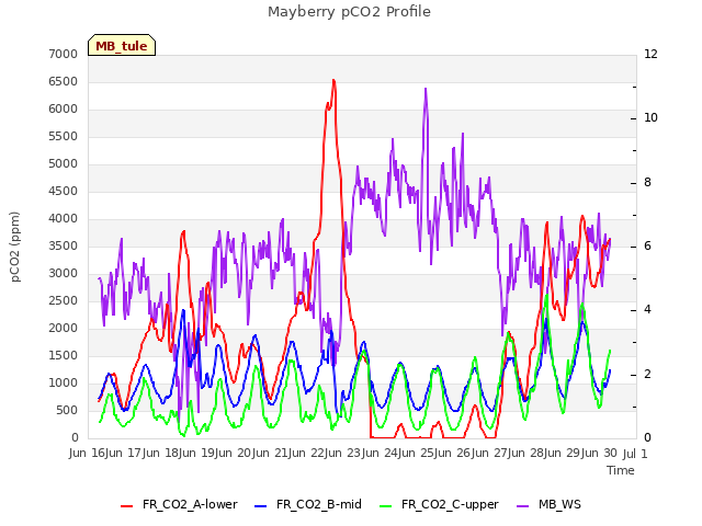 plot of Mayberry pCO2 Profile