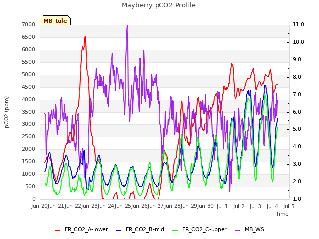 plot of Mayberry pCO2 Profile