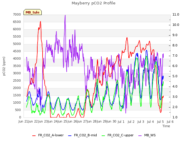 plot of Mayberry pCO2 Profile