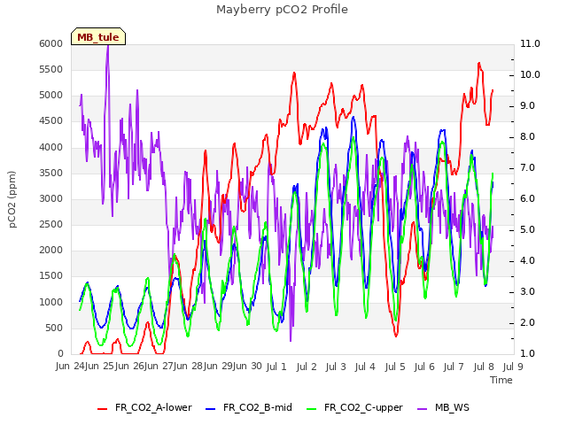 plot of Mayberry pCO2 Profile