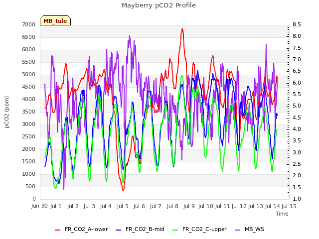 plot of Mayberry pCO2 Profile