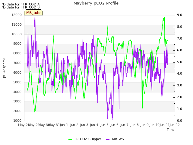 plot of Mayberry pCO2 Profile