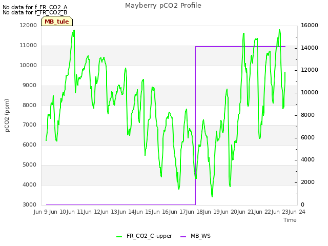 plot of Mayberry pCO2 Profile