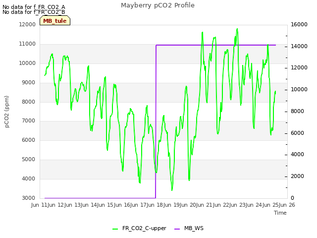 plot of Mayberry pCO2 Profile