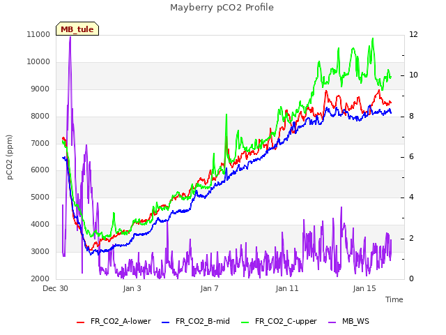 Explore the graph:Mayberry pCO2 Profile in a new window